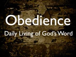 letstalkaboutlife365.com(obedience2)