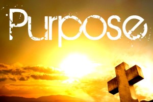 Purpose